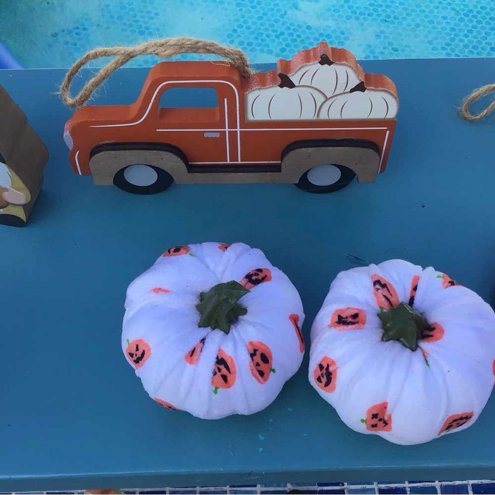Decorative Fall Tray Accessory Bundle - Picture 3 of 8